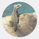 Search for wildlife photography stickers Animal