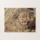 Search for baby cheetah puzzles Cub