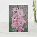 Search for stalks cards Garden
