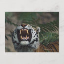 Search for threat postcards Horizontal