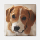 Search for focus home living Baby animals