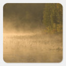 Search for adirondack stickers Tree