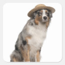 Search for straw hat stickers Dog