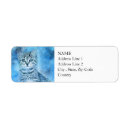 Search for splatter return address labels Abstract