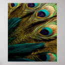 Search for blue peacock bird posters Elegant