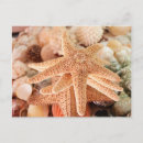 Search for danita delimont postcards Julien mcroberts