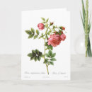 Search for rosa cards Vintage