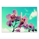 Search for blumen Fotografie