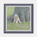 Search for photo frame magnets Modern