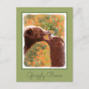 Search for grizzly bear postcards Cub