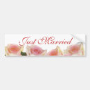 Search for white rose bumper stickers Bride
