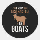 Search for cute goat stickers White