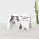 Search for age specific birthday cards Cat