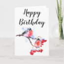 Search for robin bird birthday cards Birds