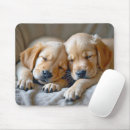 Search for dog napping electronics Golden retriever