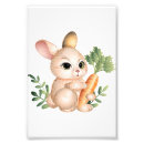 Search for carrot art Hare