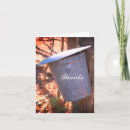Search for bucket cards Photography