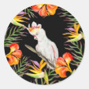 Search for hand drawing stickers Parrot