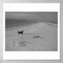 Search for beach dog posters Sand
