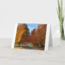 Search for countryside birthday cards Photography