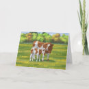 Search for calf cards Livestock