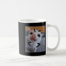 Search for kitten meme mugs Lover