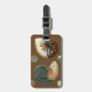 Search for shells luggage tags Conch