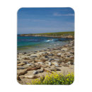 Search for seals magnets Shore