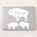 Search for white bison stickers Yellowstone