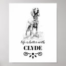 Search for setter posters Irish setter dog