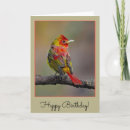 Search for scarlet cards Bird