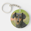 Search for smooth key rings Dachshund smooth haired miniature