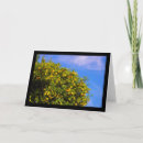 Search for citrus fruit cards Orange tree