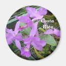 Search for rica magnets Latin america