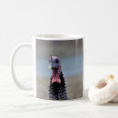 Search for wild turkeys mugs Birds