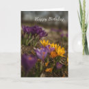 Search for spring birthday cards Crocus
