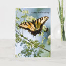 Search for papillons cards Mariposa