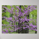 Search for purple bloom art Landscape