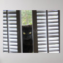 Search for window posters Black cat