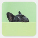 Search for spain pictures stickers Photography