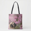 Search for smelling bags Animal