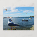 Search for moored postcards Ocean