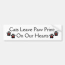 Search for paws bumper stickers Pet