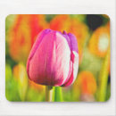 Search for garden violets mousepads Purple