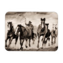 Search for southwest magnets Western