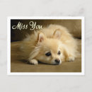 Search for pom pom postcards Puppy
