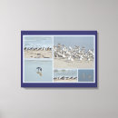 Search for sandpiper art Coastal