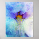 Search for macro flower art Iris