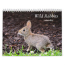 Search for bunny rabbit calendars Bunnies