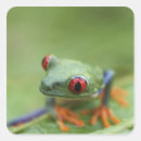 Search for tree frog stickers Reptiles